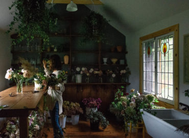 Begonia Moon Flower Studio