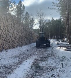 Faraday Forestry Services