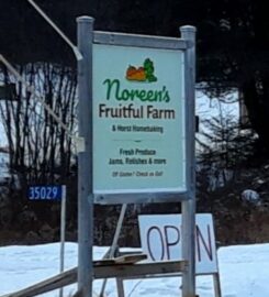 Noreen’s Fruitful Farm